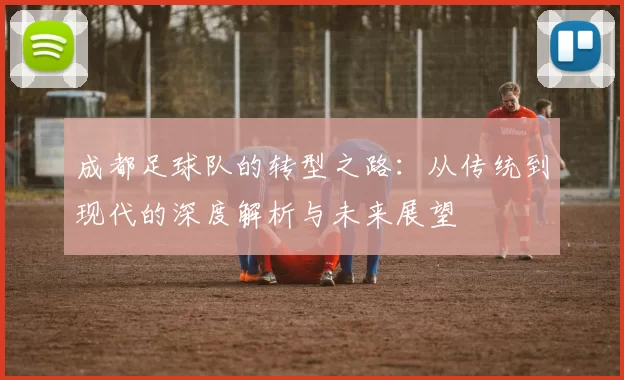 成都足球队的转型之路:从传统到现代的深度解析与未来展望