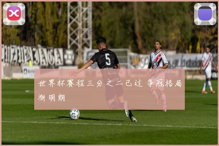 世界杯赛程三分之二已过 争冠格局渐明朗