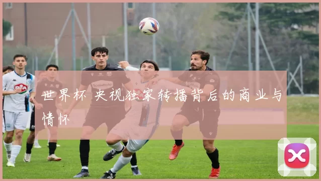 世界杯 央视独家转播背后的商业与情怀