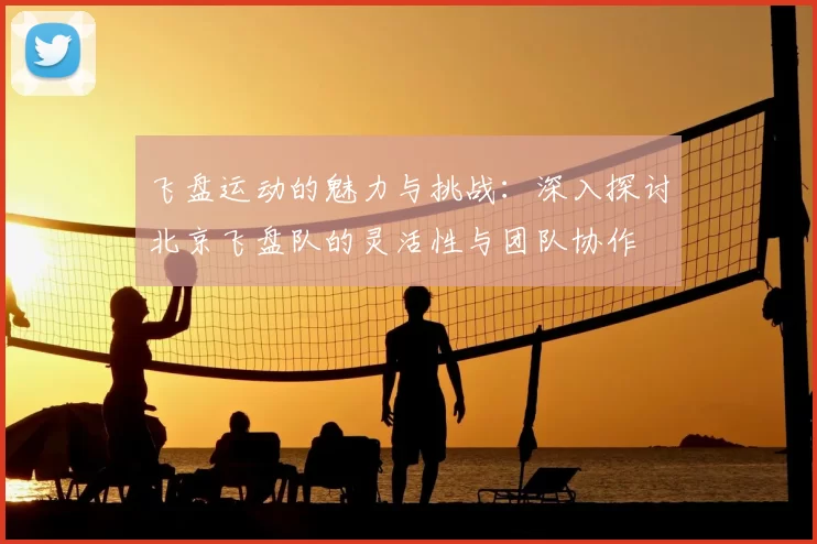 飞盘运动的魅力与挑战:深入探讨北京飞盘队的灵活性与团队协作
