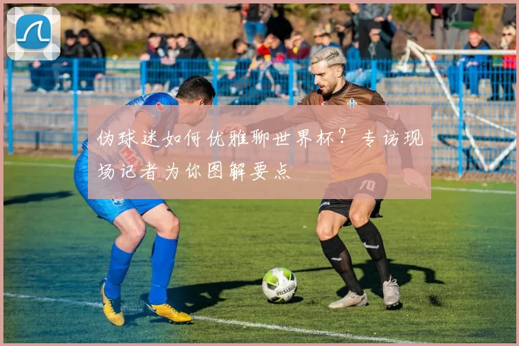 伪球迷如何优雅聊世界杯?专访现场记者为你图解要点