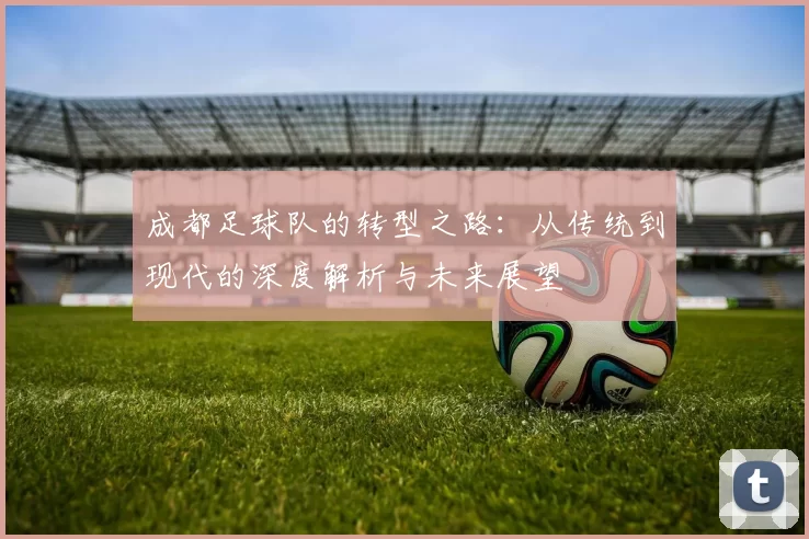 成都足球队的转型之路:从传统到现代的深度解析与未来展望