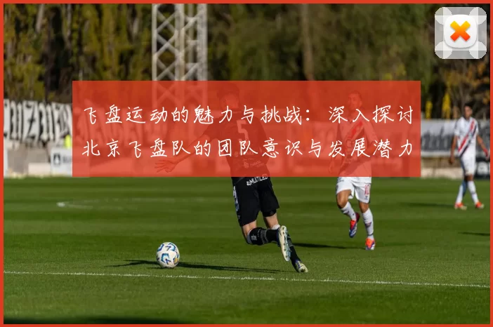 飞盘运动的魅力与挑战:深入探讨北京飞盘队的团队意识与发展潜力