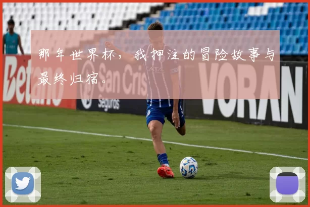 那年世界杯，我押注的冒险故事与最终归宿。