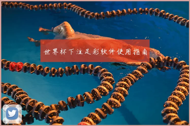 世界杯下注足彩软件使用指南