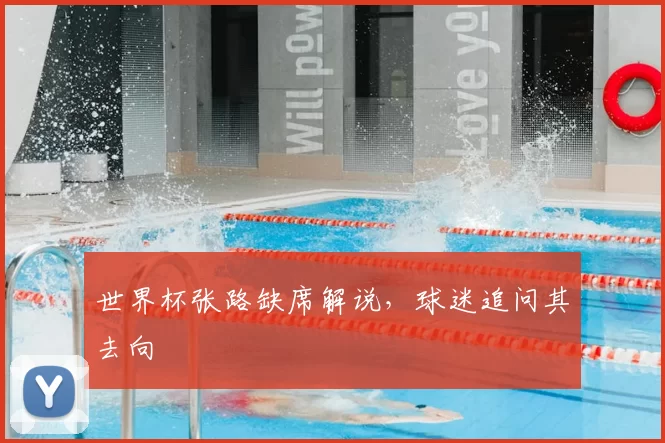 世界杯张路缺席解说，球迷追问其去向