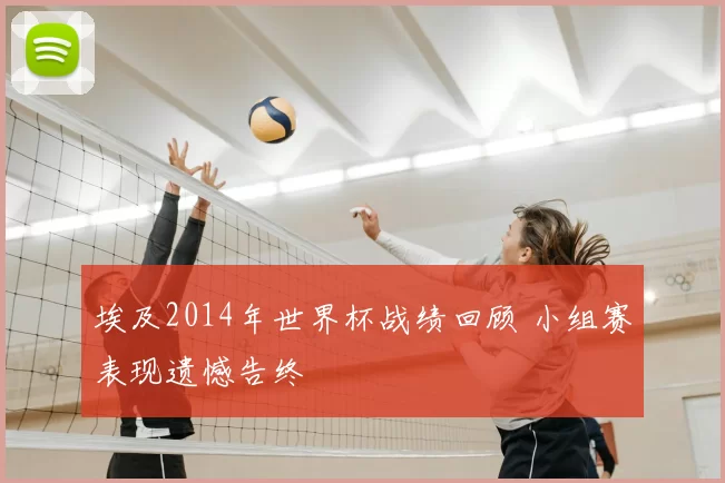 埃及2014年世界杯战绩回顾 小组赛表现遗憾告终