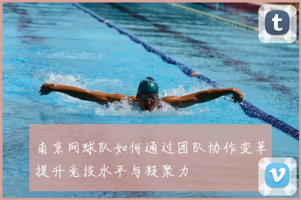 南京网球队如何通过团队协作变革提升竞技水平与凝聚力