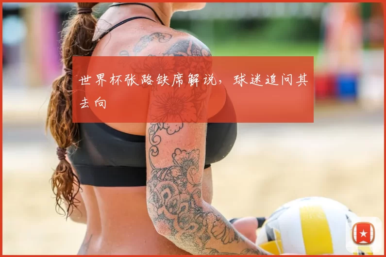 世界杯张路缺席解说，球迷追问其去向