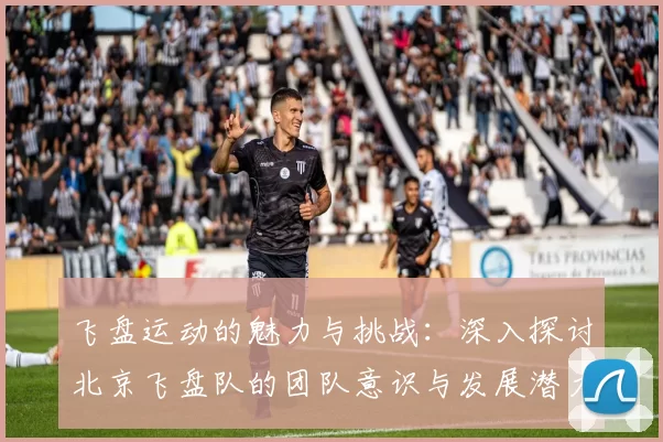 飞盘运动的魅力与挑战:深入探讨北京飞盘队的团队意识与发展潜力